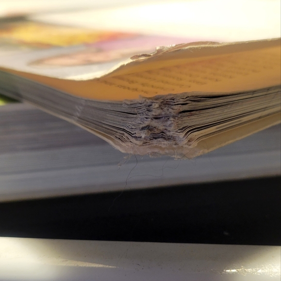 Cookbooks - Picture 5 of 5